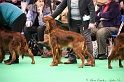 Crufts2011 271